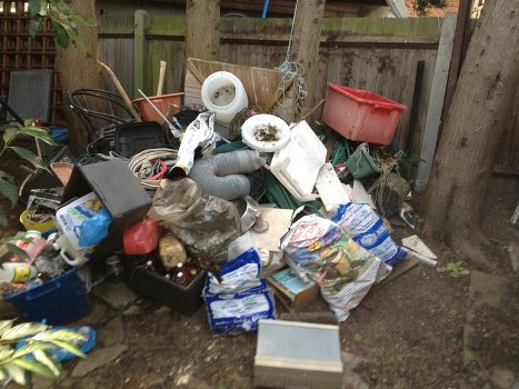 Clean and tidy garden after waste removal