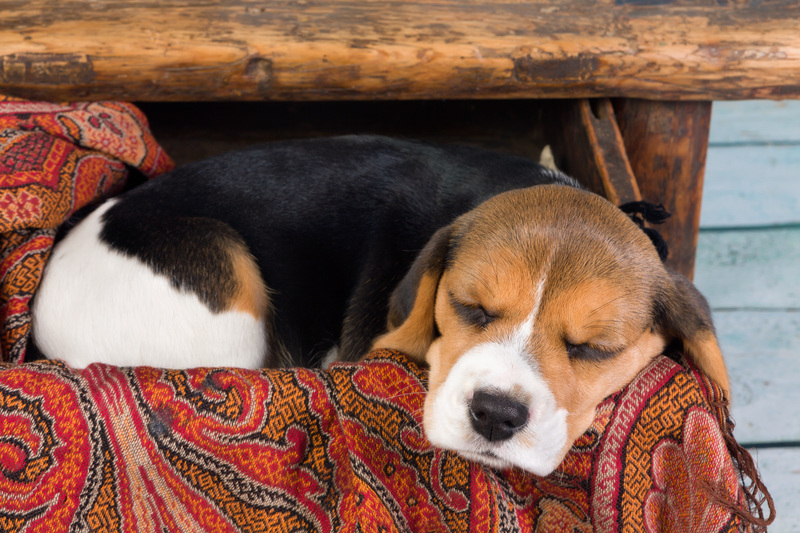 How to Support Loved Ones During Hoarder Clean Up and Clutter Removal
